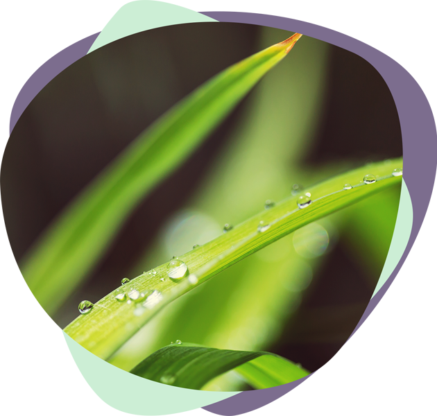 slider-image